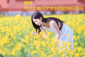 绿色经济在上海的探索与实践